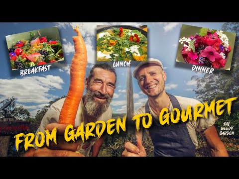 A Michelin Star Chef Turns My Garden Into a 5-Star Restaurant