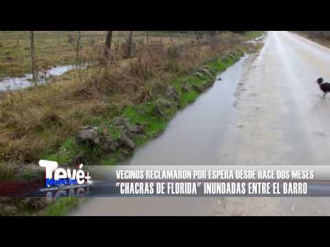 CHACRAS DE FLORIDA INUNDADAS ENTRE EL BARRO