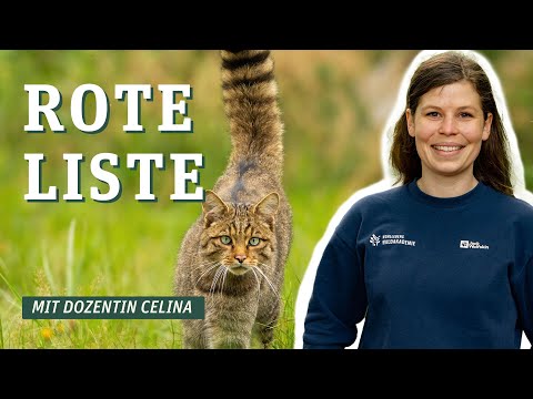 Mensch hilf uns! Immer mehr bedrohte Arten. - Was ist die Rote Liste? ✍️🟥