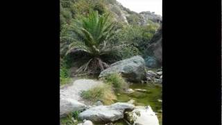 preview picture of video 'Kriti Tour's: Richti Gorge Crete-Greece'