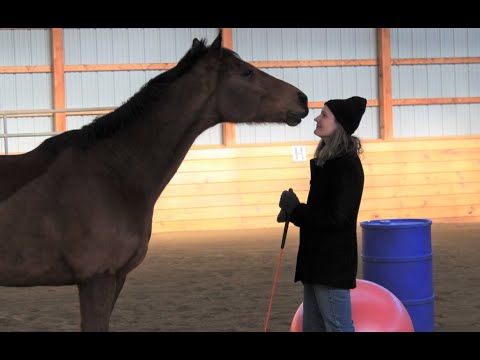 Jaeger2 - Customer Success Story