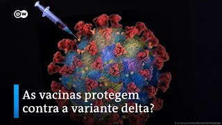 Miniatura do vídeo