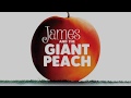 My Name Is James Piano Version James And The Giant Peach