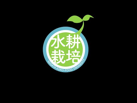 水耕栽培サークル