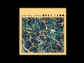 Wild Nothing - Shadow (NEW SONG) 