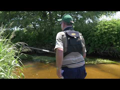 Teaser série  FD 43/Mordus de la truite "A travers la Haute Loire"