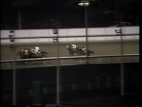 1988 Meadowlands Budweiser Breeders Cup Stakes