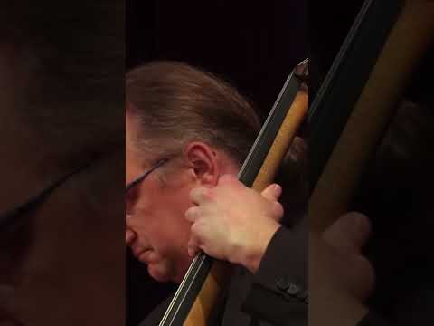 Milonga para bailar corralera Live #tango #argentina #buenosaires #classicalmusic #music #festival