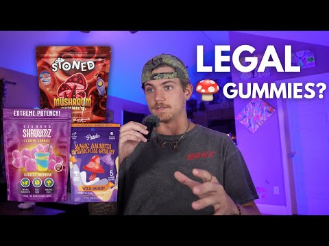 Gabriel Hardie | The Launchpad Podcast and Amentara