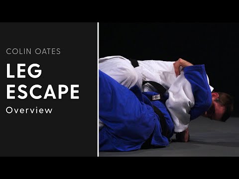 Leg Escape | Colin Oates