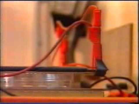 Der Urzeitcode (Ciba Geigy Experiment) Teil 1