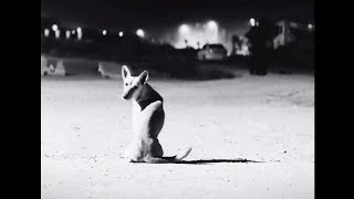 Loud Silence - HIM ( PROD by @Arvm beats )