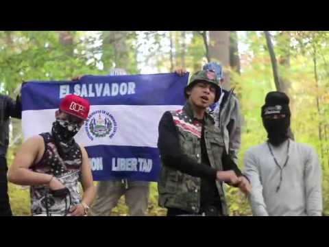 Young Killa   Perros Official Music Video Shot by SuperSaiyanDro