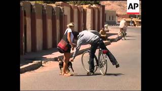 One woman's campaign to save stray dogs angers Bedouins