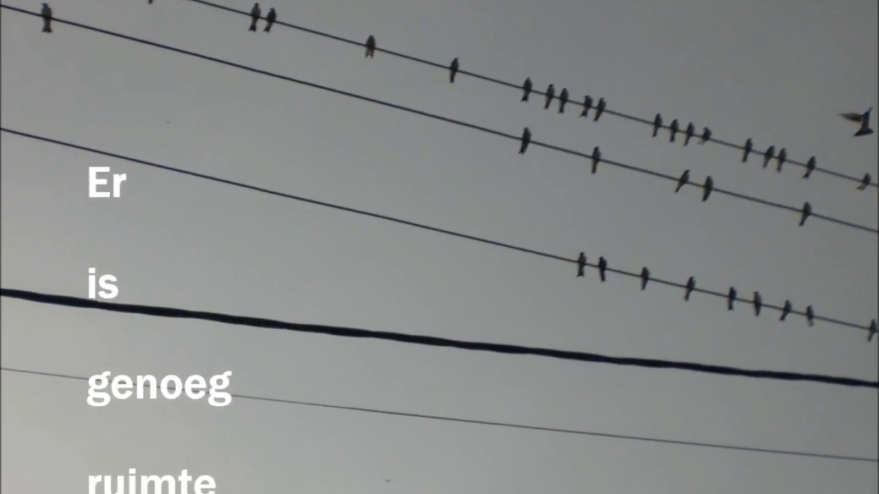 Inspirerende vrouwen quote #85 Er is genoeg ruimte