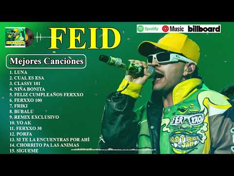 Feid Mix Exitos 2024 || LAS MEJORES CANCIONES DE FEID
