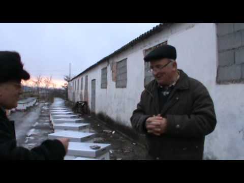 3. Iernatul la stupina 3 in 1, despre ramele de hranire si analiza unor familii de albine 3/3