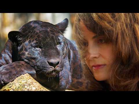Meet The Woman Who Actually Communicates with Animals
