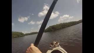 preview picture of video 'Kayaking at Apollo Beach Florida'