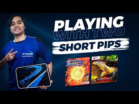 Nittaku Moristo SP + Spinlord Waran