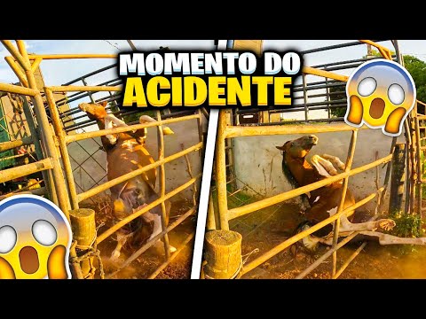 SE FOR FRACO NÃO ASSISTA ! GRAVEI O ACIDENTE DO CAVALO