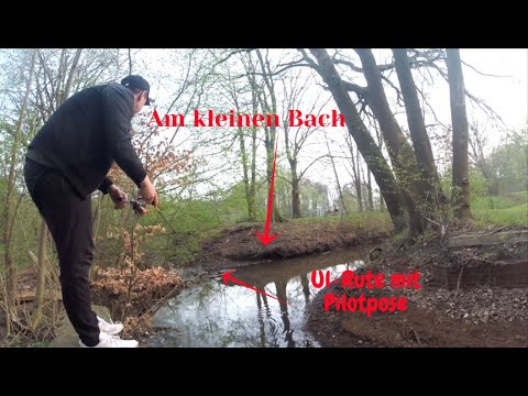 Angeln am Bach, Forellenangeln am kleinen Bach, Bienenmade, Pilotpose Ultralight Angeln