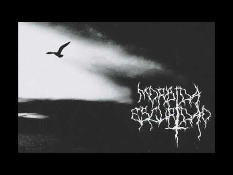 Mórbida Escuridão (full álbum 2021)
