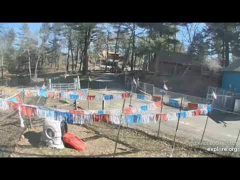 From day to night SDP 1025pm 3222020