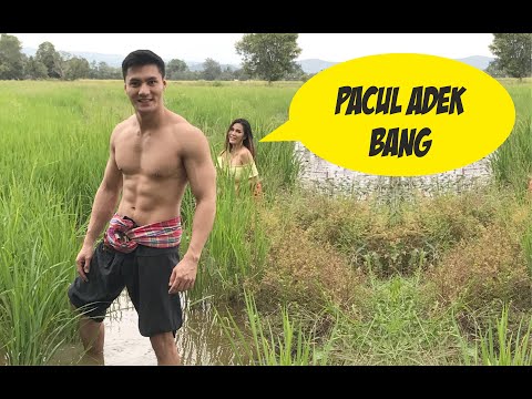 Pemacul handal WAR KVK