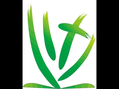 คริสตจักรแบ๊พติสชีวิตใหม่ - เรื่อง การอธิษฐาน1 12/02/60