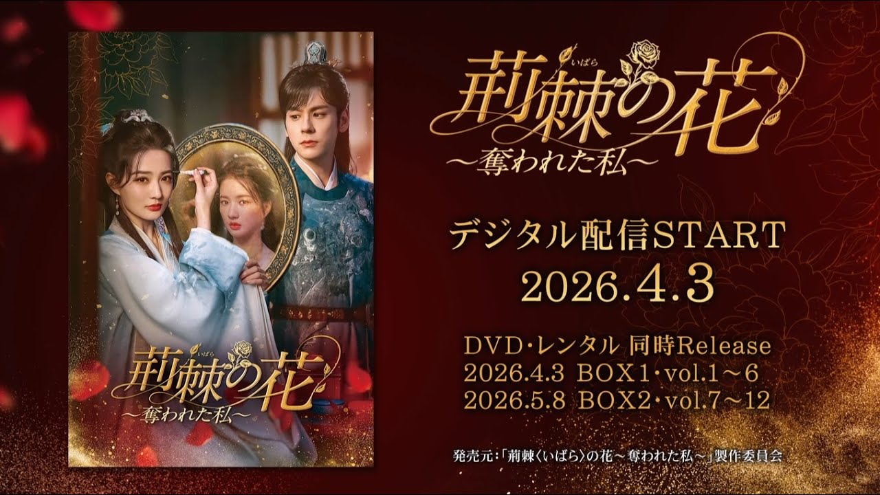 中国ドラマ「荊棘〈いばら〉の花～奪われた私～」2026年4月3日（水）DVD-BOX発売！【公式】