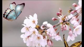 BURT BACHARACH - THIS GUY&#39;S IN LOVE WITH YOU 1968