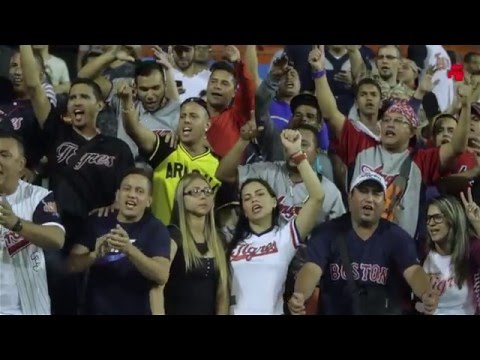 Ambiente del 7mo juego de la semifinal (Tigres vs Tiburones)