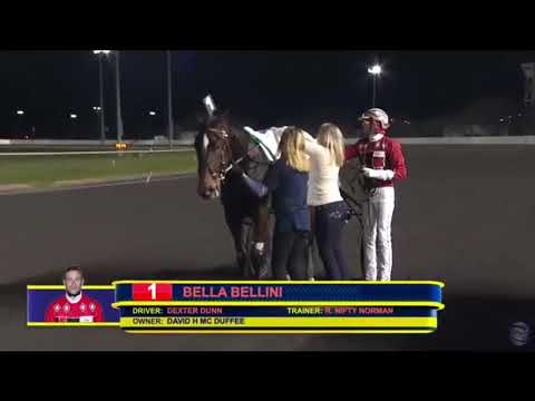 Bella Bellini wins the  TVG Mares Trot