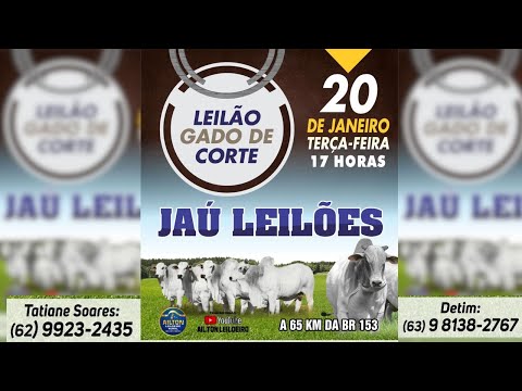 LEILÃO GADO DE CORTE  - JAU LEILÕES  - JAU DO TOCANTINS  -20/ 01/ 2026