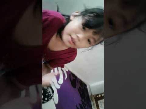 Kucing lucu berkelahi