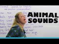 Animals and the sounds they make