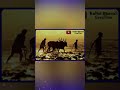 Kalya Matit Matit Tifan Chalte Avee Player