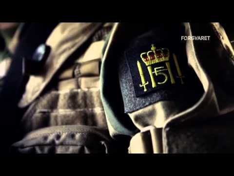 Hans Majestet Kongens Garde