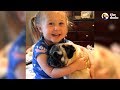 Little Girl Says The Funniest Things To Her Pugs | The Dodo
