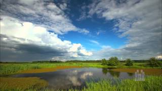 Pavane - Mormon Tabernacle Choir