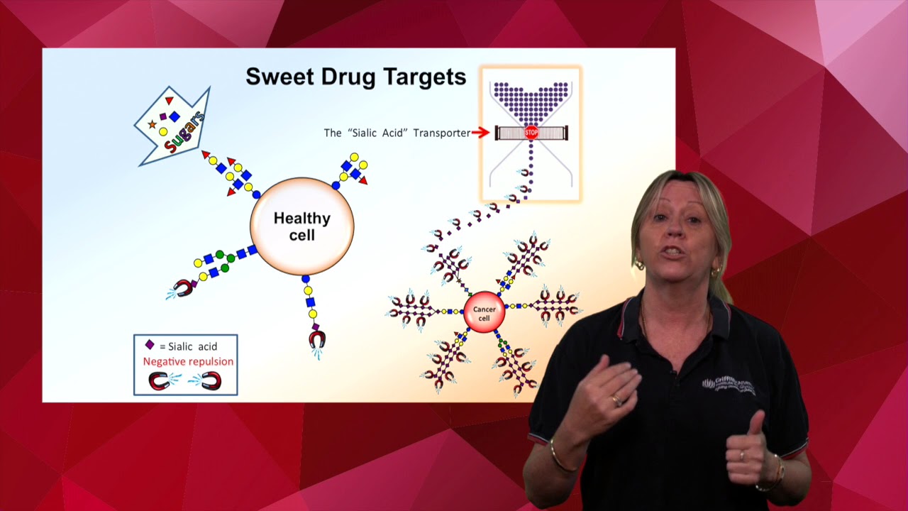 2017 Griffith 3 Minute Thesis Finalists Barbara Hadley