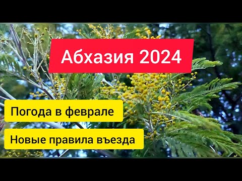 Лидзава. Обстановка в Пицунде. Новые правила въезда в Абхазию для детей  Погода в Абхазии в феврале