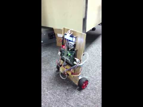 ECE 153A Robot Balancing Project