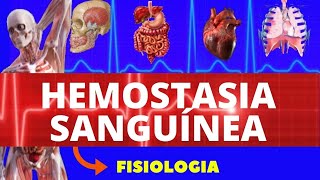 COAGULAÇÃO SANGUÍNEA - FISIOLOGIA SANGUÍNEA (HEMOSTASIA PRIMÁRIA E SECUNDÁRIA) - ENSINO SUPERIOR