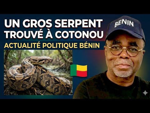 Voir la vidéo YouTube