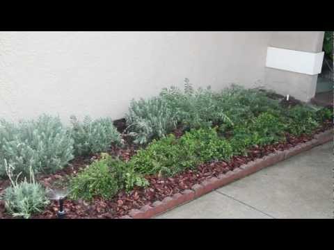 Rain Bird ESP-RZX - Overview & System Basics  - Spanish