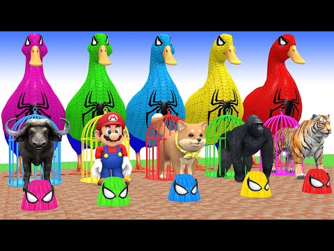 Long Slide Game With Cow Elephant Gorilla Hippopotamus Tiger 3d Animal Game Funny 3d Animals