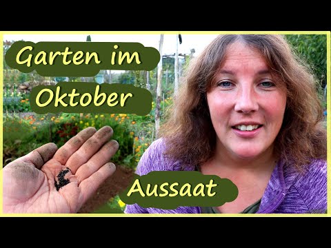 Selbstversorgergarten im Oktober │ Aussaat │ Tiere und Wintergemüse