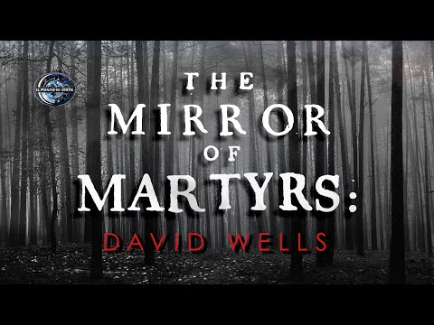 LO SPECCHIO DEI MARTIRI by DAVID WELLS